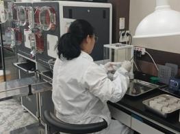 횡성군, 잊지 말고 가축분뇨 부숙도 검사 받으세요! 기사 이미지