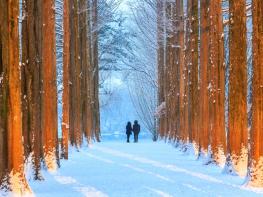 춘천시, ‘한국 관광지 500선’ 춘천 7곳 선정, 관광도시 ‘우뚝’ 기사 이미지