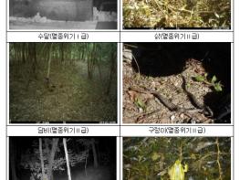 기후에너지환경부, 국립공원 내 숨겨진 습지 9곳에서 멸종위기 야생생물 9종 보금자리로 확인 기사 이미지