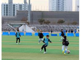 강진군, 강진청자배 초등 축구 동계 페스티벌 개최 기사 이미지