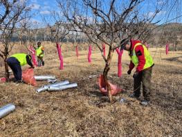 의성군, 도시녹지관리원 확대 운영 실시 기사 이미지