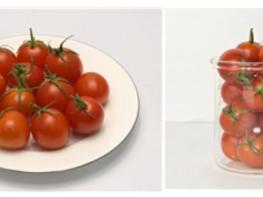 농촌진흥청, 혈압 낮추는 라이코펜 섭취 '하루 한 컵 방울토마토' 기사 이미지