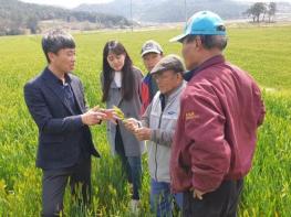 강진군, 봄철 집중호우에 철저한 맥류 사후관리 강조 기사 이미지