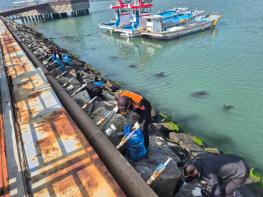 해양환경구조협회 강진구조대, 놀토수산시장 해양 정화활동 전개  기사 이미지