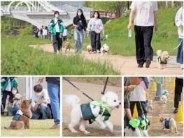 임실군-전북현대모터스FC, 반려견동반 환경캠페인 ‘SEED BY PET’ 성황리 마무리 기사 이미지