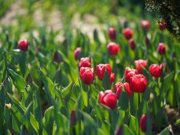 예측이 어려운 분노감정 뿌리찾기 기사 이미지
