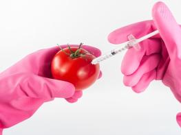 건강과 GMO(유전자 조작식품) 기사 이미지